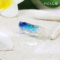 海のウマ サムネイル2